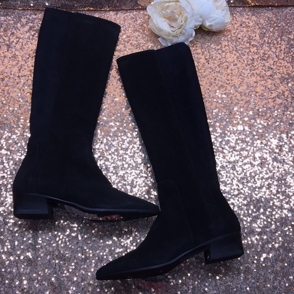 aquatalia jordan suede tall boots